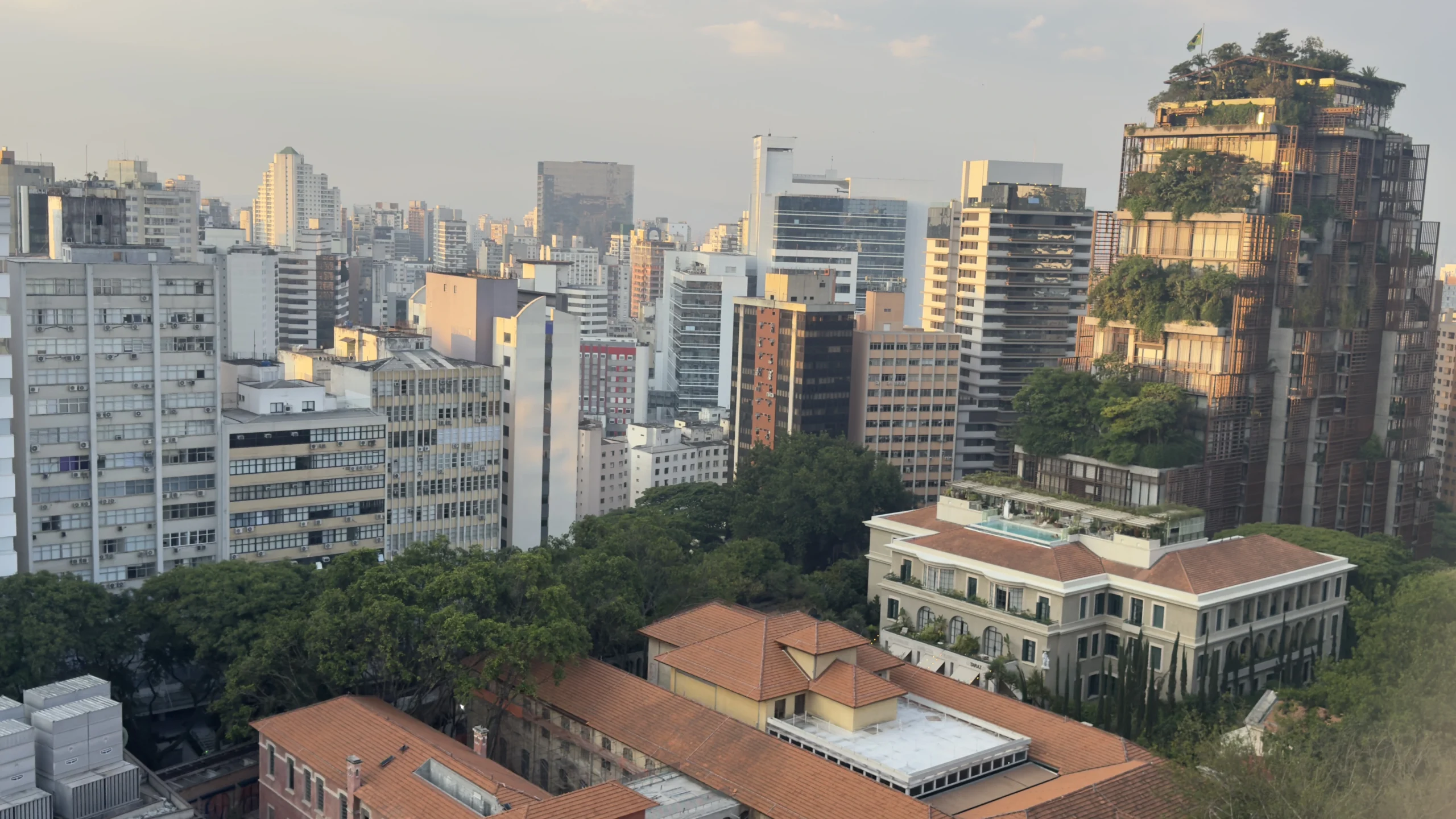 Aulas de inglês online na Bela Vista para profissionais