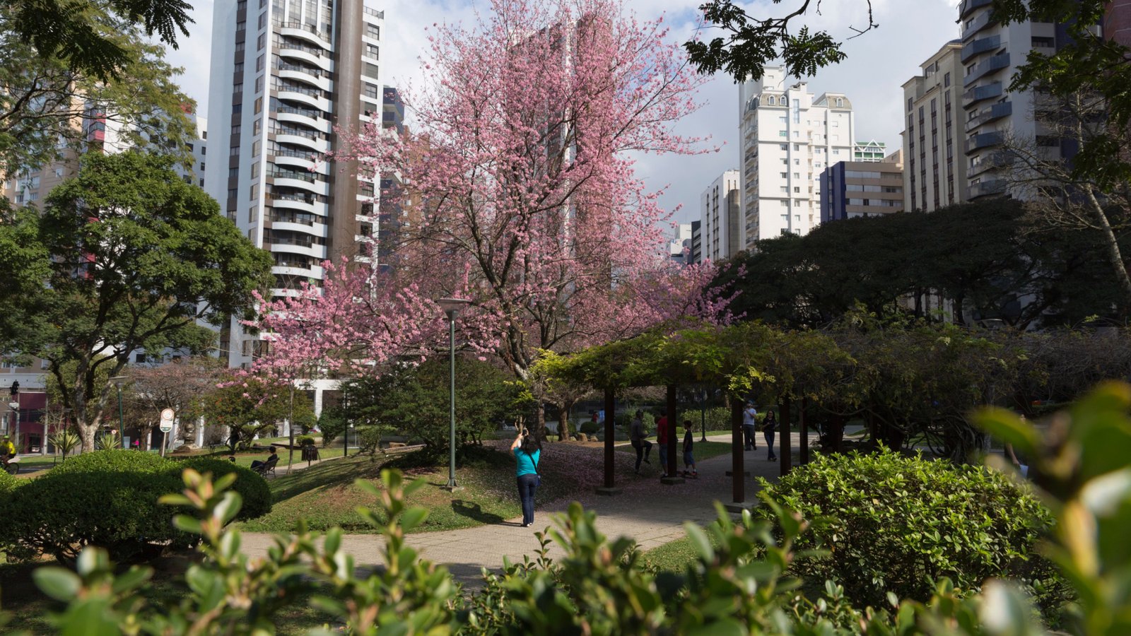 Avenidas arborizadas do Água Verde Curitiba — bairro residencial de alto padrão com forte presença comercial